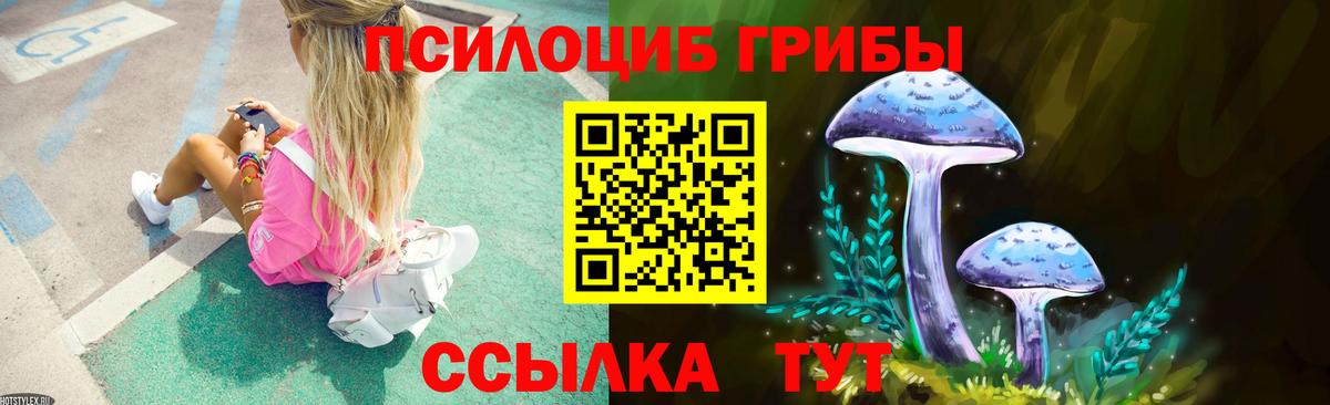 Псилоцибиновые грибы Cubensis  как найти закладки  Артём  Вход с VPN  Галлюциногенные грибы Psilocybine cubensis 